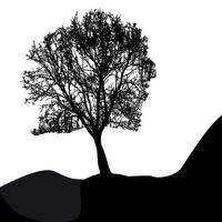 Tree Silhouette Isolated on White Backgorund. Vecrtor Illustrati vector