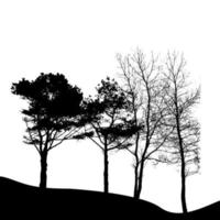 Tree Silhouette Isolated on White Backgorund. Vecrtor Illustrati vector