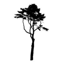 Tree Silhouette Isolated on White Backgorund. Vecrtor Illustrati vector