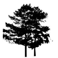 Tree Silhouette Isolated on White Backgorund. Vecrtor Illustrati vector