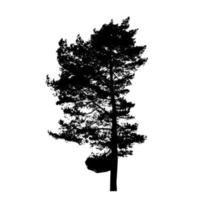 Tree Silhouette Isolated on White Backgorund. Vecrtor Illustrati vector