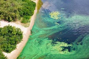 The coast on the surface of the river is covered with a pellicle of blue-green algae, copy space. photo