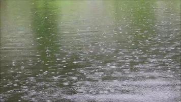 gotas de lluvia cayendo sobre el lago video