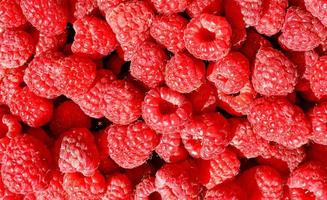 Background and texture of red ripe raspberries. photo