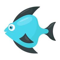 Teardrop Fish Concepts vector