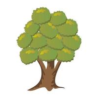 Horse Chestnut Tree vector