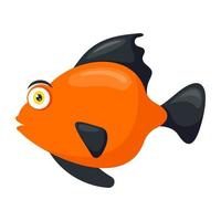 Platy Fish Concepts vector