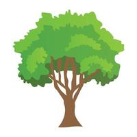 Sugarberry Tree Concepts vector