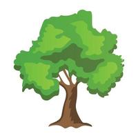 Conceptos del árbol de carpe vector