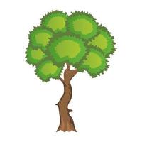 conceptos de árbol sicomoro vector