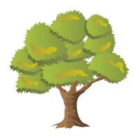 Chestnut Tree Concepts vector