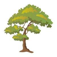 Oak Tree Concepts vector