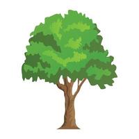Ash Tree Concepts vector