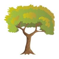 Birch Tree Concepts vector