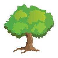 conceptos del árbol de almez vector