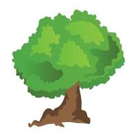 Black Ash Tree vector