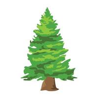 Fir Tree Concepts vector