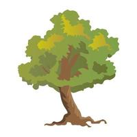 Chestnut Tree Concepts vector