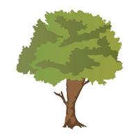 conceptos del árbol de la mora de azúcar vector