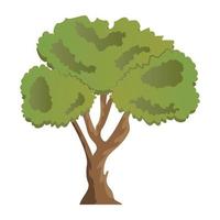 Linden Tree Concepts vector