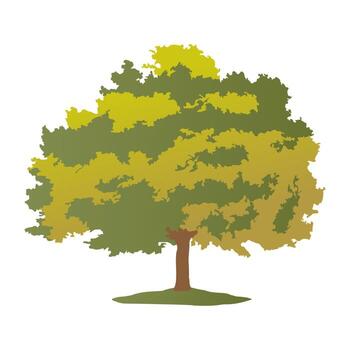 Sugar Maple Concepts vector