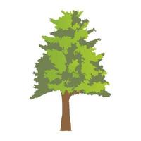 Hickory Tree Concepts vector