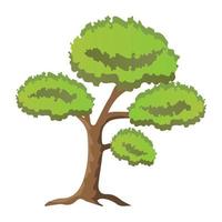 Scots Pine Tree vector