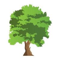 Elm Tree Concepts vector