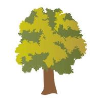 Basswood Tree Concepts vector