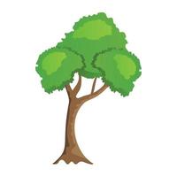 Hornbeam Tree Concepts vector