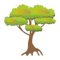 Pinus Bonsai Concepts vector