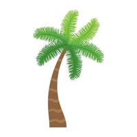 Date Palm Concepts vector