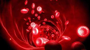 Red blood cells moving in the blood stream, in an artery, 3d rendering, CGI animation. video