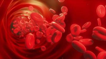 glóbulos vermelhos movendo-se na corrente sanguínea, em uma artéria, renderização em 3D, animação cgi. video
