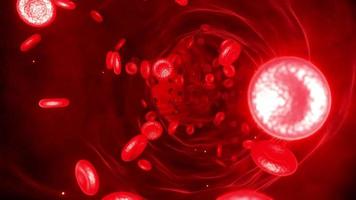 Red blood cells moving in the blood stream, in an artery, 3d rendering, CGI animation. video