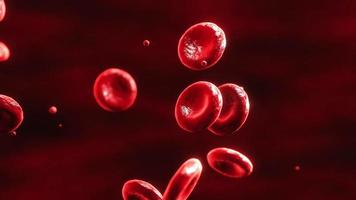 glóbulos vermelhos movendo-se na corrente sanguínea, em uma artéria, renderização em 3D, animação cgi.