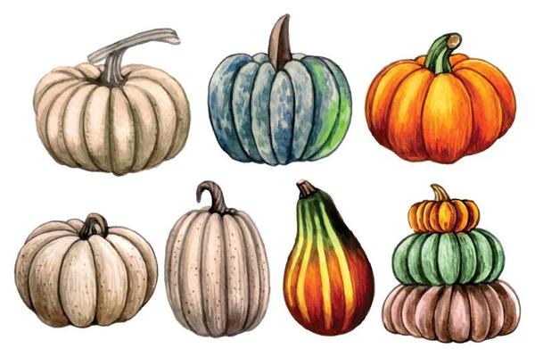 Watercolor hand drawn fall pumpkin composition