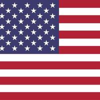 United States Square National Flag vector