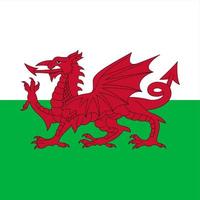 Wales Square National Flag vector