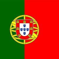 bandera nacional portugal plaza