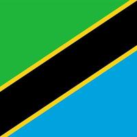 Tanzania Square National Flag vector