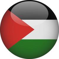 Palestine 3D Rounded National Flag Button Icon vector