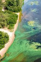 la costa en la superficie del río está cubierta por una película de algas verdiazules. foto