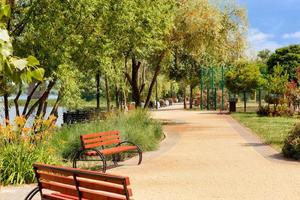 Bancos de madera en el terraplén del dnipo a lo largo del sendero empedrado del parque verde de la ciudad en un día de verano. foto