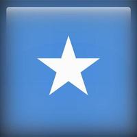 Somalia Square National Flag vector