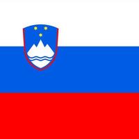 Slovenia Square National Flag vector