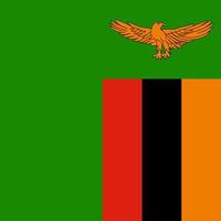 Zambia Square National Flag vector