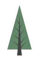 pine tree forest vector