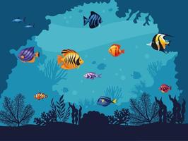 exotics fishes underwater vector