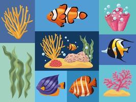 nine sealife underwater icons vector